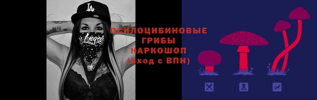 ГАЛЛЮЦИНОГЕННЫЕ ГРИБЫ Алексеевка