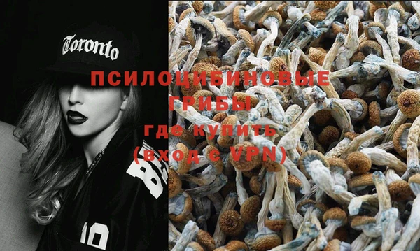 круглые Алексин