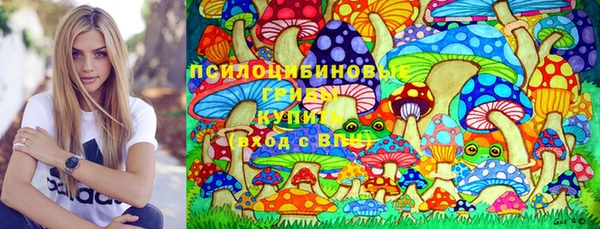 соль ск Алзамай